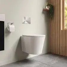 Wall_Hung_Toilet9[1]-8825769-22017.webp